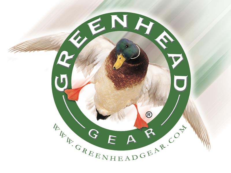 Greenhead