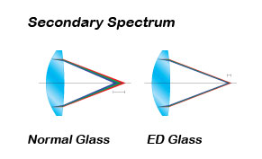 ED-Glass-Graphic.jpg