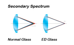 ED-Glass-Graphic.jpg ED-Glass-Graphic.jpg