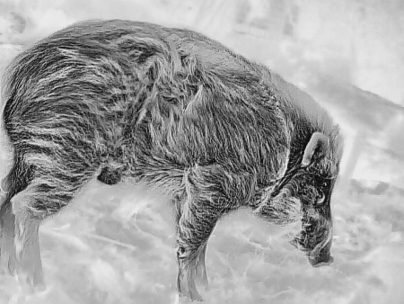 �������������� ��������� Guide TD421 Gen2 (1.9x, 384x288, 12���, 50��, F25��/1.1)