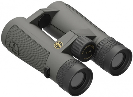 ������� Leupold BX-5 Santiam HD 10x42 (���� Shadow Gray)