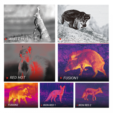 ���������� PARD TA32-35LRF (3.7x, 384x288, 50��, 12���, F35) � �����������