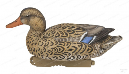  Avery GreenHead Gear Pro-Grade XD Series Early Season ( 12 ) 76199