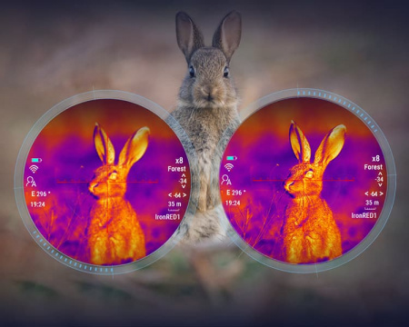 �������������� ������ PARD TS31-25LRF (2.2x, 25��, 384x288px, 12���, 50��) � �����������