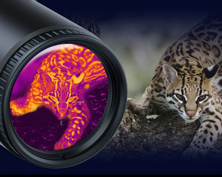 �������������� ������ PARD TS31-45LRF (4x, 45��, 384x288px, 12���, 50��) � �����������