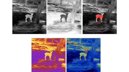   Guide TD210 (1.5x, 256x192, 12, 50, F10)