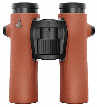  Swarovski NL Pure 10x32 (Burnt Orange)