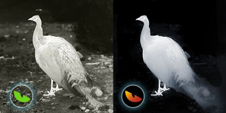 ���������� ��� ��������� iRay T2 Pro (256x192, 12���, 25��, 13��)