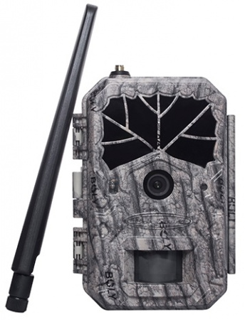 ����������� Boly Guard BG636-48M