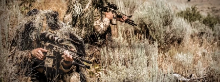 ������ Vortex Razor HD GEN II-E 1-6x24 � ���������� (����� VMR-2 MOA)