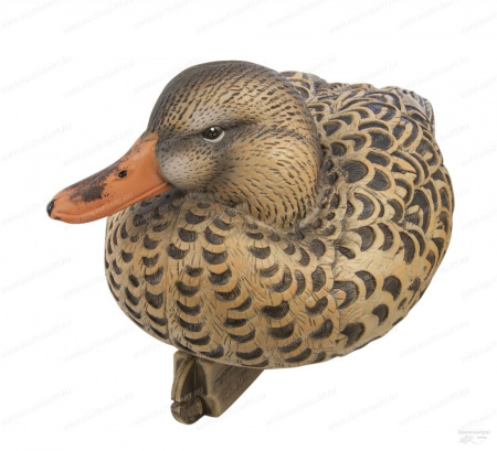  Avery GreenHead Gear Pro-Grade XD Series Early Season ( 12 ) 76199