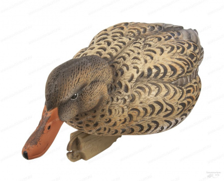  Avery GreenHead Gear Pro-Grade XD Series Early Season ( 12 ) 76199