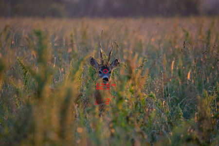    GPO RANGEGUIDE 2800 8x50