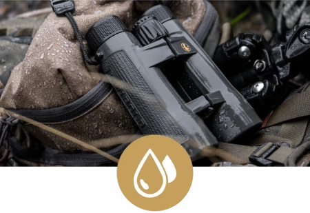 ������� Leupold BX-5 Santiam HD 10x42 (���� Shadow Gray)