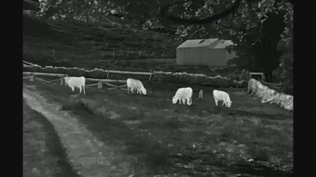 ���������� PARD TA62-35 (2.2x, 640x480, 30��, 12���, F35)