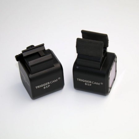 ��������� ������������ ������ Triggercam BSP
