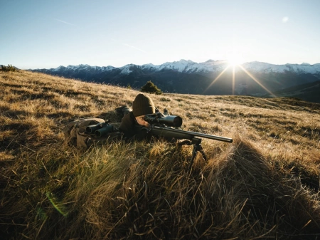 ������ Swarovski dS Gen.II 5-25x52 P ���� SR � �����������