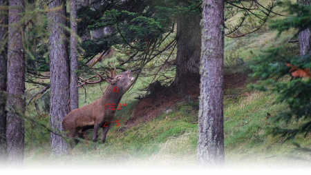 Бинокль с дальномером GPO RANGEGUIDE 2800 10x32 Бинокль с дальномером GPO RANGEGUIDE 2800 10x32