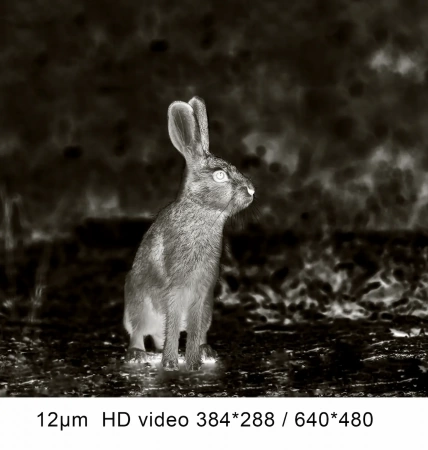 ���������� PARD TA62-35 (2.2x, 640x480, 30��, 12���, F35)