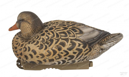  Avery GreenHead Gear Pro-Grade XD Series Early Season ( 12 ) 76199