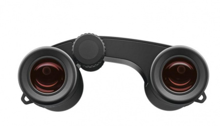  Zeiss Victory 10x25 Pocket Binoculars