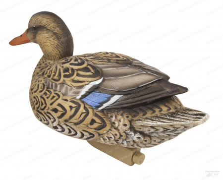  Avery GreenHead Gear Pro-Grade XD Series Early Season ( 12 ) 76199