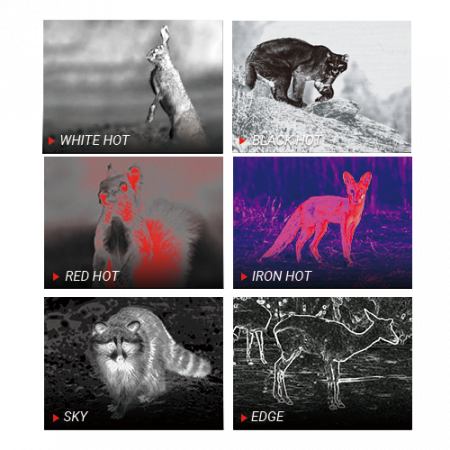 ���������� PARD TA32-25LRF (2.6x, 384x288, 50��, 12���, F25) � �����������