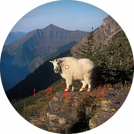   Leica Rangemaster CRF 2800.COM   