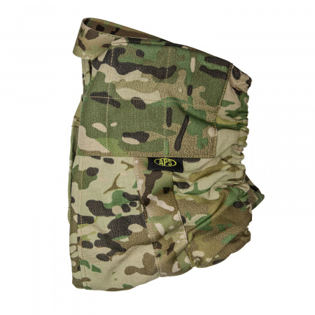 ����� APS �� �����, ���� ���������